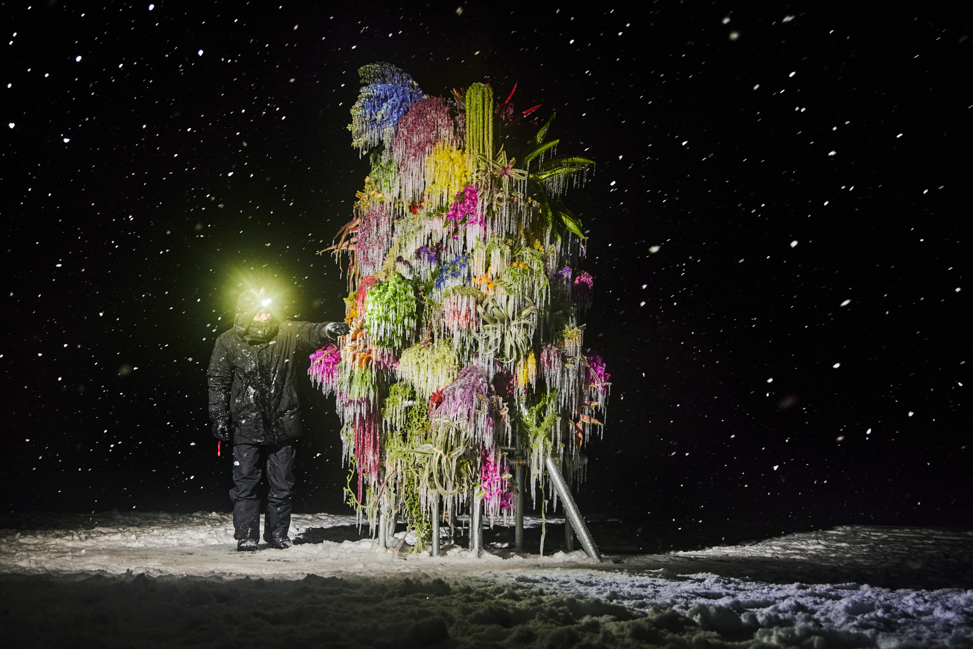 Frozen Flowers 2023 | AMKK（東信, 花樹研究所）